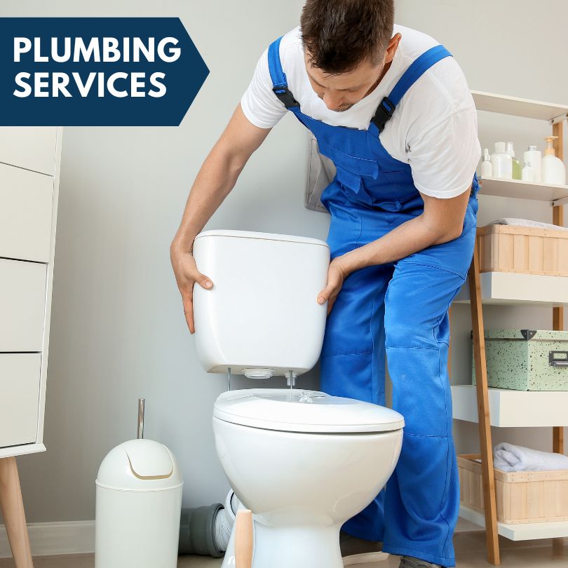 Plumbing Company in Mount Carroll, IL